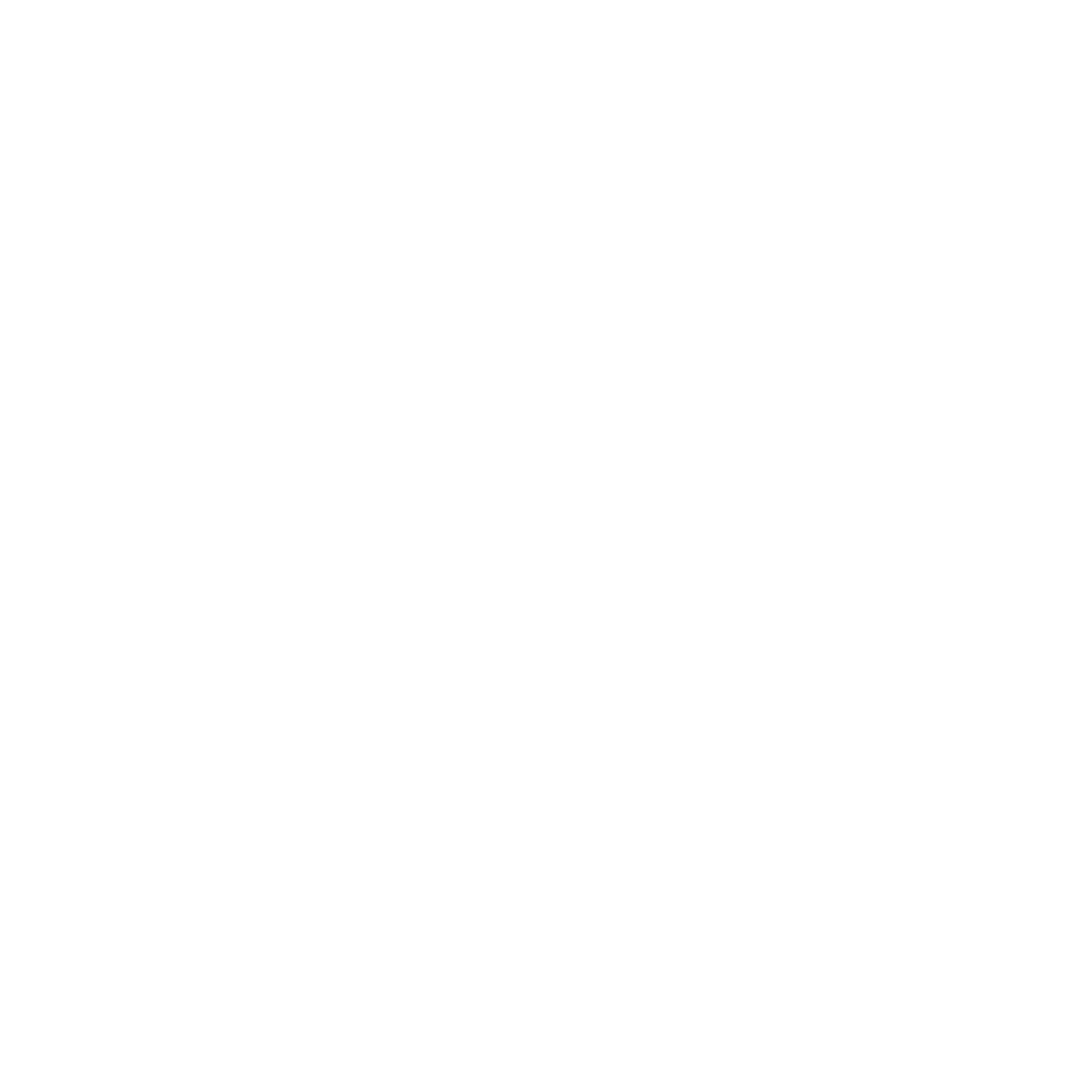 Ports Icon