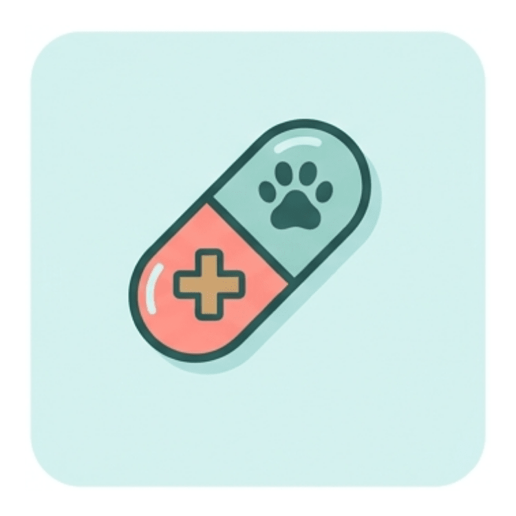 Medication Support