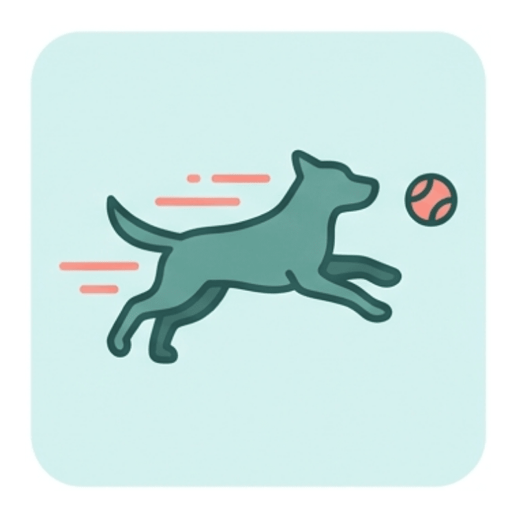 Real Exercise and Enrichment