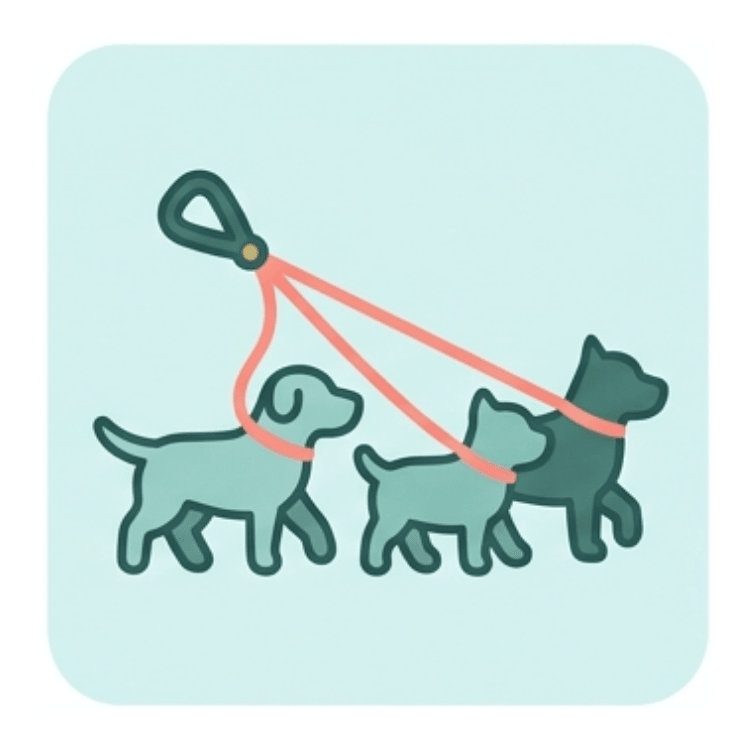 Pack Walking Experience
