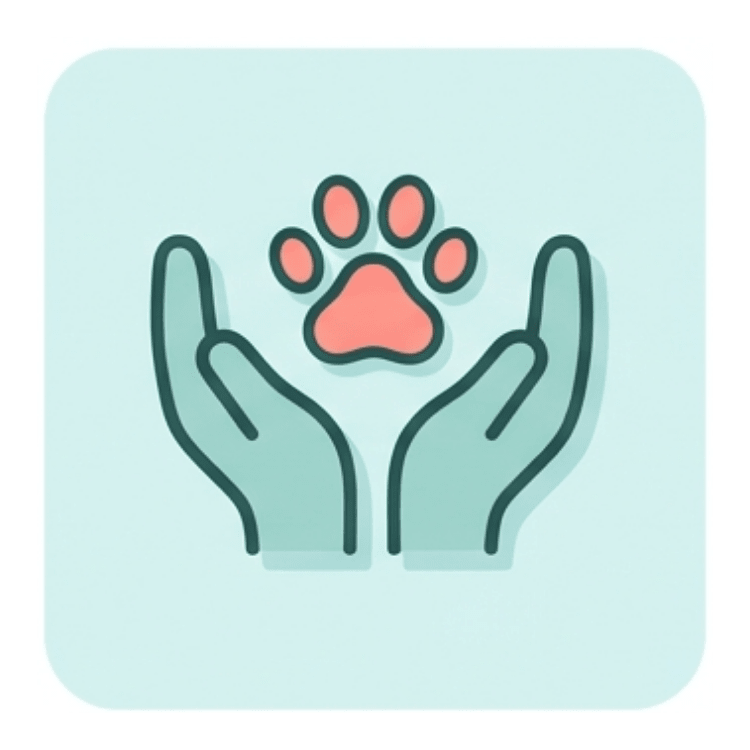 Senior and Special Needs Support