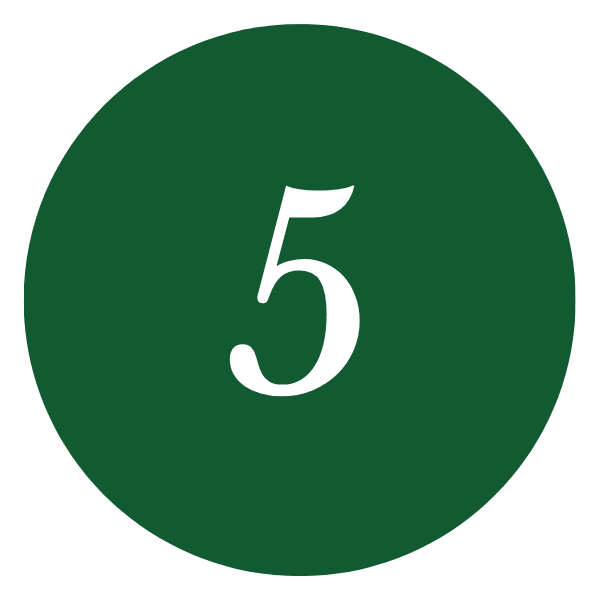 Step 5