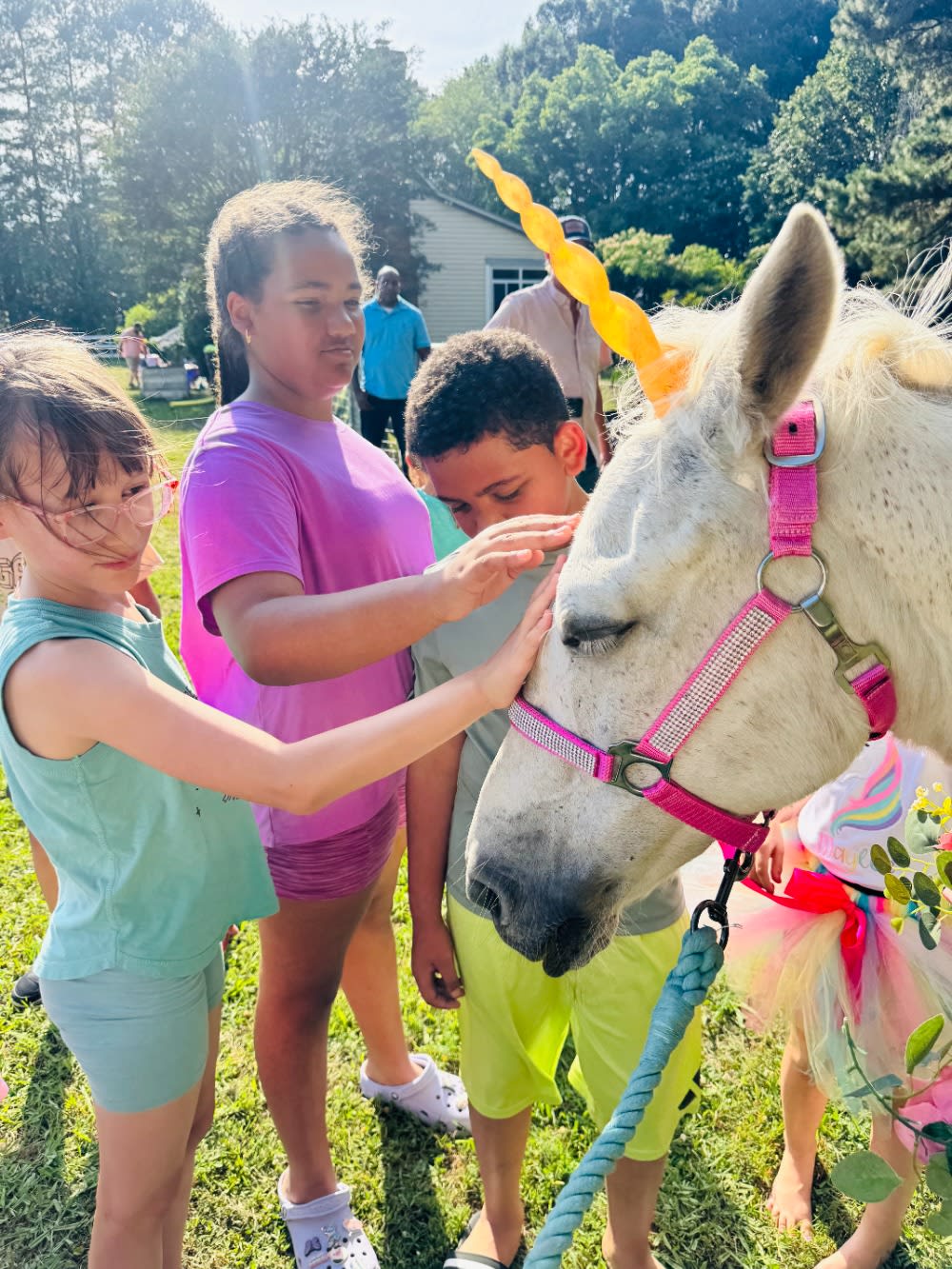 Child interacting with a real pony dressed as a unicorn at an outdoor birthday party